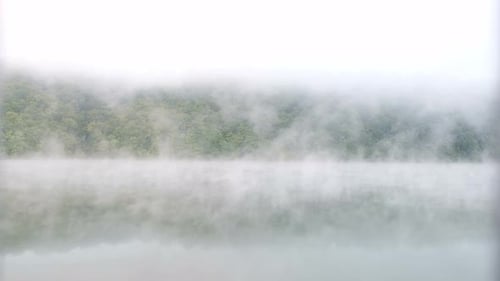 Fog over the forest with the river. Beautiful morning landscape.
