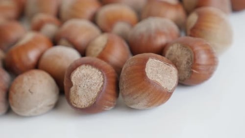 Close-up of Group of Hazelnuts
