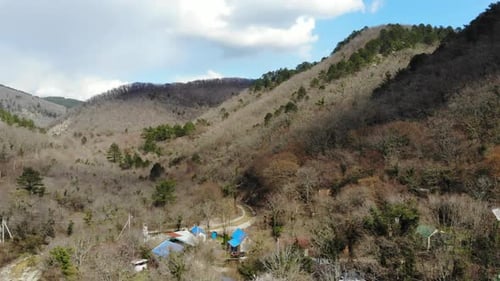 Flying over the forest.
