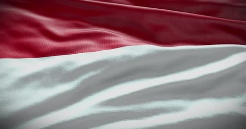Realistic Red and White Flag Waving Seamless Loop Background
