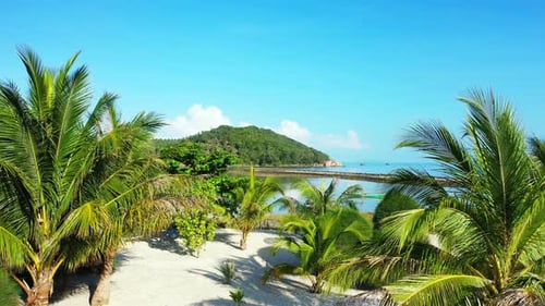 Beautiful palms on white sandy beach washed by calm water of shallow lagoon on tropical island