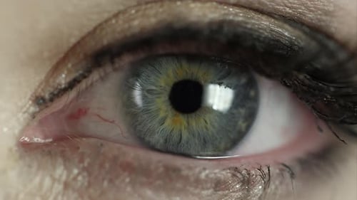 Up close view of woman's blue eye