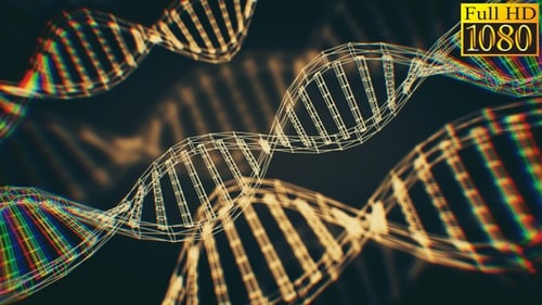 Digital Wireframe DNA Double Helix Rotation Animation