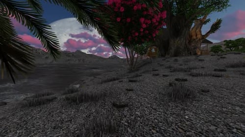 Home garden at night on the full moon