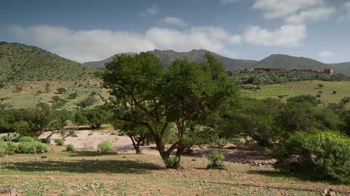 Valle del Argan