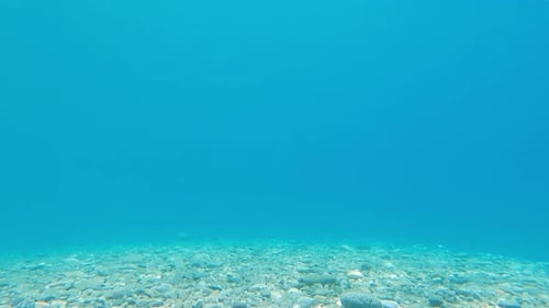 Seabed in Sardinia with Stones