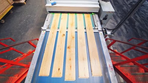Wood Boards Moving Along Conveyor Belt in Factory
