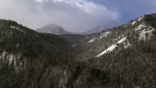 Survol d'un canyon couvert de pins en hiver