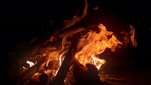 Wood Fire (4K)