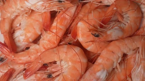 Close Up of Cooked Shrimp in a Pile