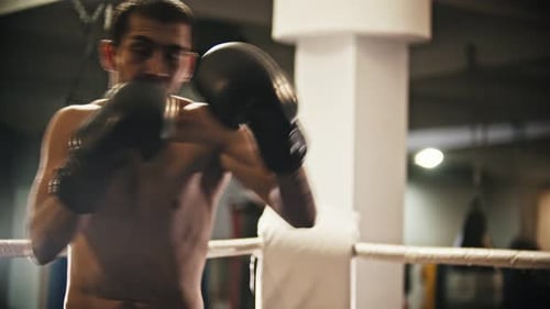 Focused Boxer Training in the Boxing Ring