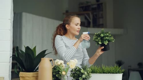 Cheerful Housewife Is Watering Green Plants Using Sprayer Holding Flowerpots and Smiling Standing