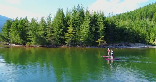 Couple rowing a stand up paddle board in the river 4k