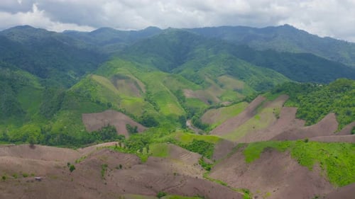 Aerial top view of forest trees and green mountain hill. Nature landscape background, Thailand.