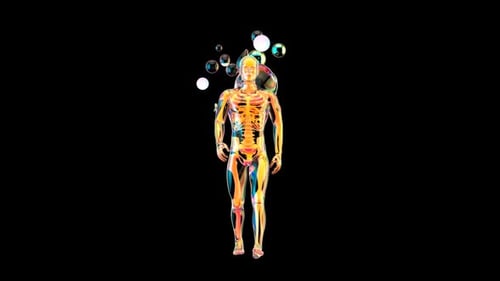 Anatomy concept of a man walking with abstract bubbles