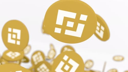 BNB Kryptowährung Coins