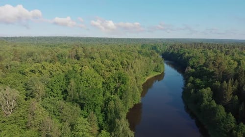 Paisagem da natureza - o rio se estende entre a floresta de coníferas