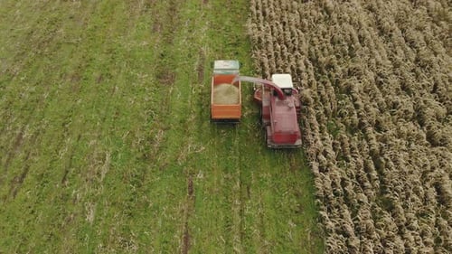 Corn Harvester and Tractor Working in a Field