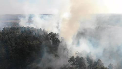 View From the Top of the Forest That Is Burning. A Fire That Burns in a Dry Forest on a Sunny Day