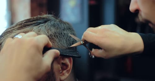 Hairdresser Cuts Hair with Scissors and Comb