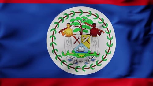Belize National Flag Waving in the Wind Animated Loop