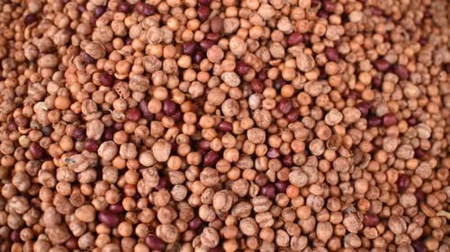 Pile of Small Brown and Tan Seeds or Grains