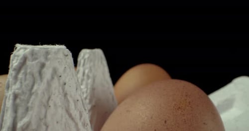 eggs in a box close up fly over view