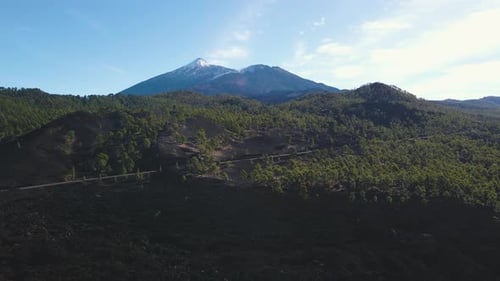 Incredible Aerial Views of Lava Forests in Teide Volcano National Park