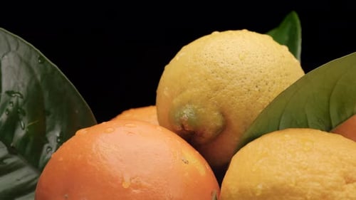 Citrus Fruit