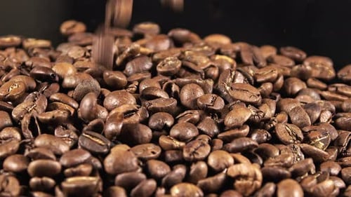 Falling Roasted Coffee Beans on Pile Close-Up