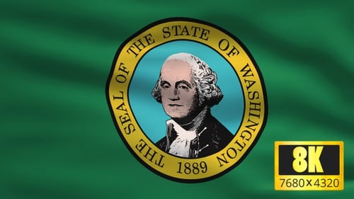 Realistic Waving Washington State Flag Animation