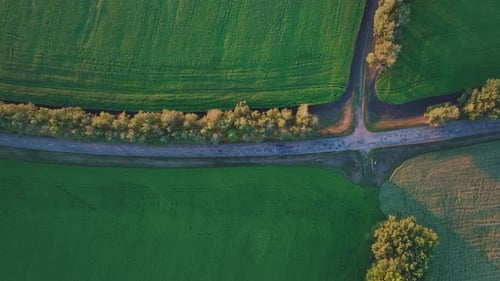 A Blue Car is Driving Along a Road Between Green Fields