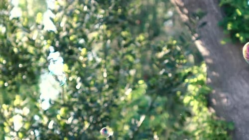 Floating Soap Bubbles Shimmering in Green Park