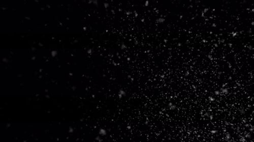 Abstract White Particles Swirling on Black Background