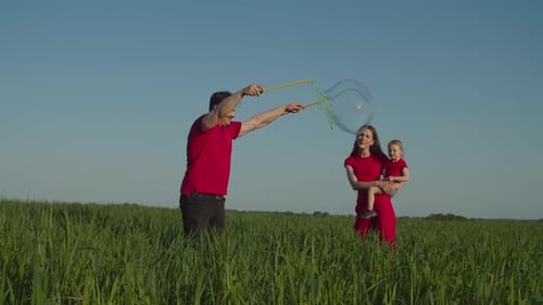 Family Fun Making Bubbles in a Grassy Field