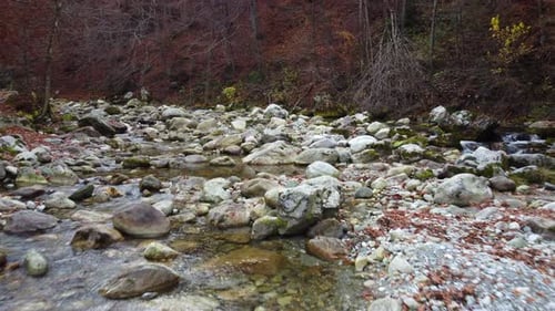 Rio na montanha, outono, folhagem vermelha