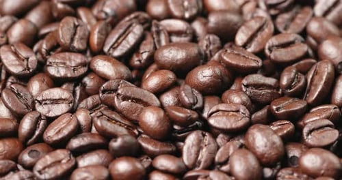 Roasted coffee bean