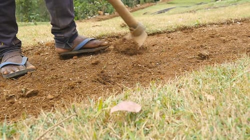 Male Indian Gardener Weeds the Ground By Hoe Before Planting Blooming Flowers in Park. Local