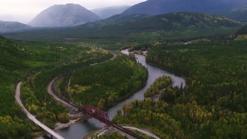 Um trem de carga está atravessando a floresta e passando sobre o rio