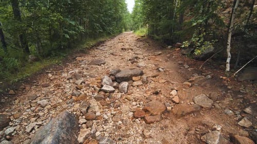 A Stone Trail in the Siberian Forest
