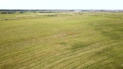 Aerial view of green farming field with fresh vegetation in spring.