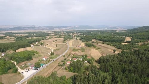 Pine Forest And Black Car On The Road