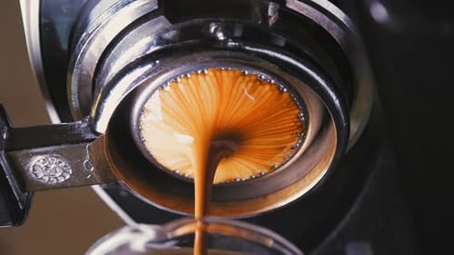 Close Up Extraction of Delicious Espresso