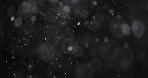 Abstract Particles and Bokeh on Black Background