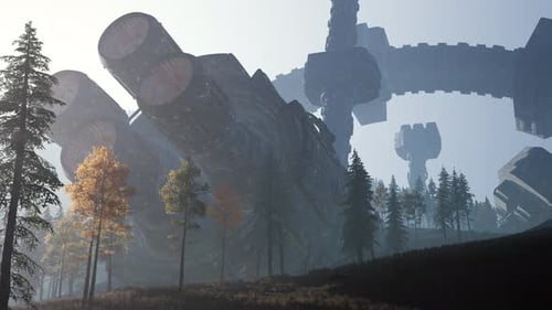 UFO Crashed in the Forest