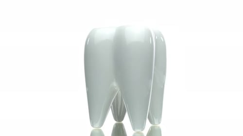 Large Healthy Ceramic 3D Tooth Model Rotating on White Background