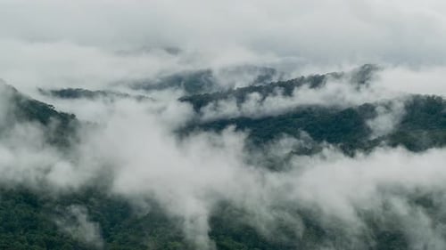 Misty Mountains Covered in Green Tropical Forest