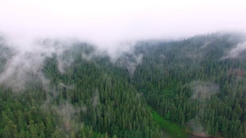 Aerial drone flight over mountain lake in pine forest in clouds
