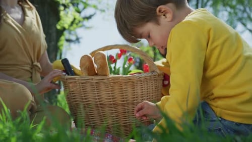 Family Picnic in the Spring Sunshine