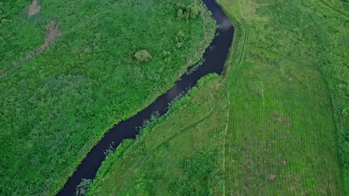 Beautiful Summer Landscape with a River
